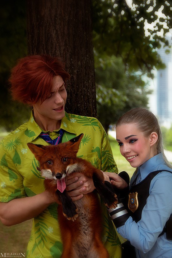 Московский косплей Zootopia с настоящей лисой. - Изображение 1 Московский косплей Zootopia с настоящей лисой. - Изображение 1