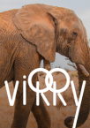 Virry VR