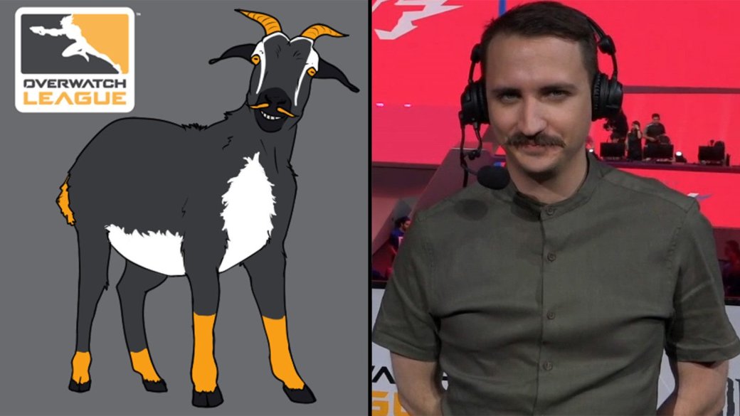 Пользователь «затролил» Overwatch League картинками коз | Канобу - Изображение 1 Пользователь «затролил» Overwatch League картинками коз | Канобу - Изображение 1
