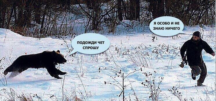 Оскар 2016: Прогнозы. - Изображение 14 Оскар 2016: Прогнозы. - Изображение 14